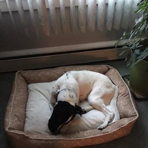 Meet your Posher, Jari jean